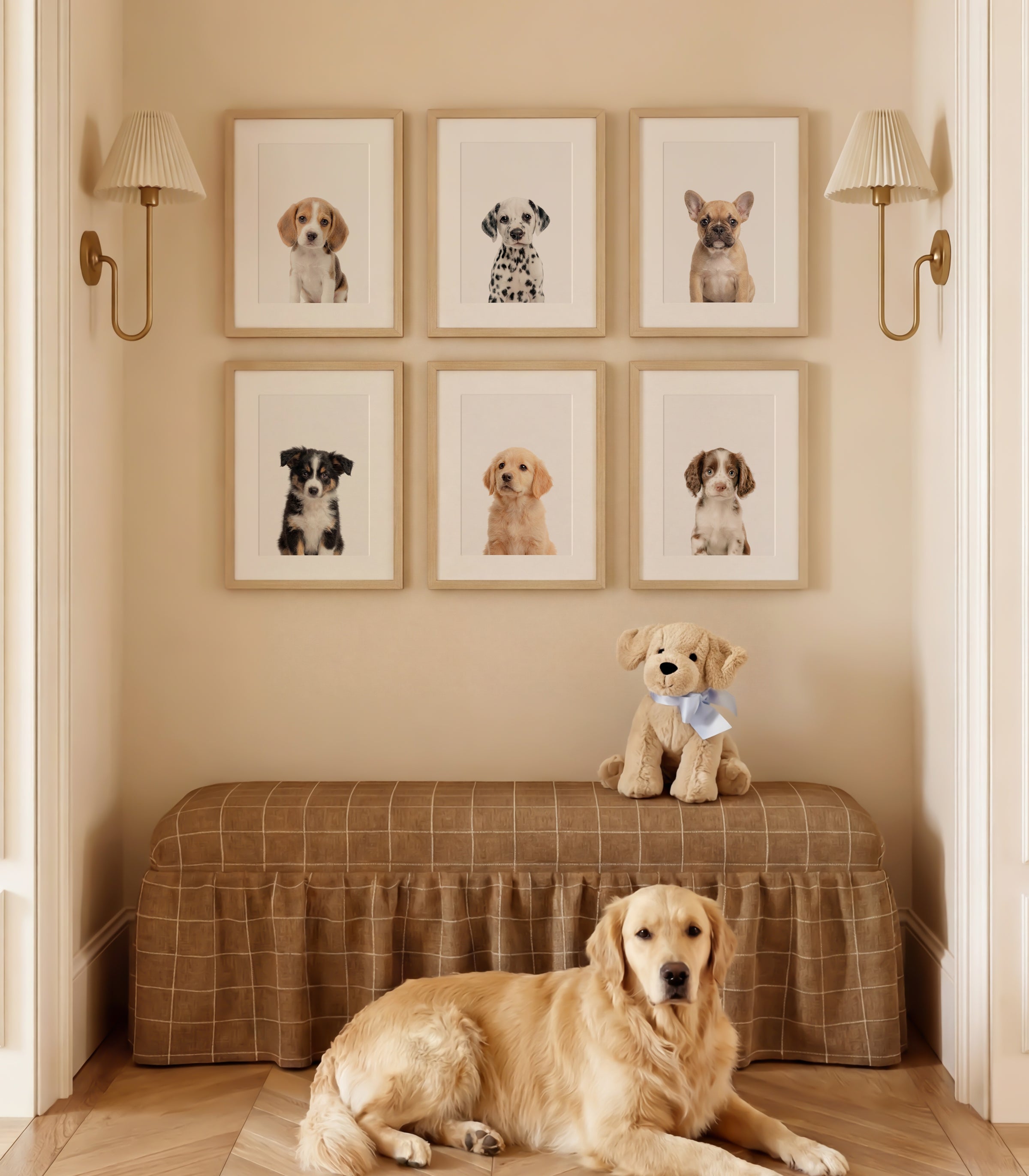 Baby Animal Art - Curated Sets of 6