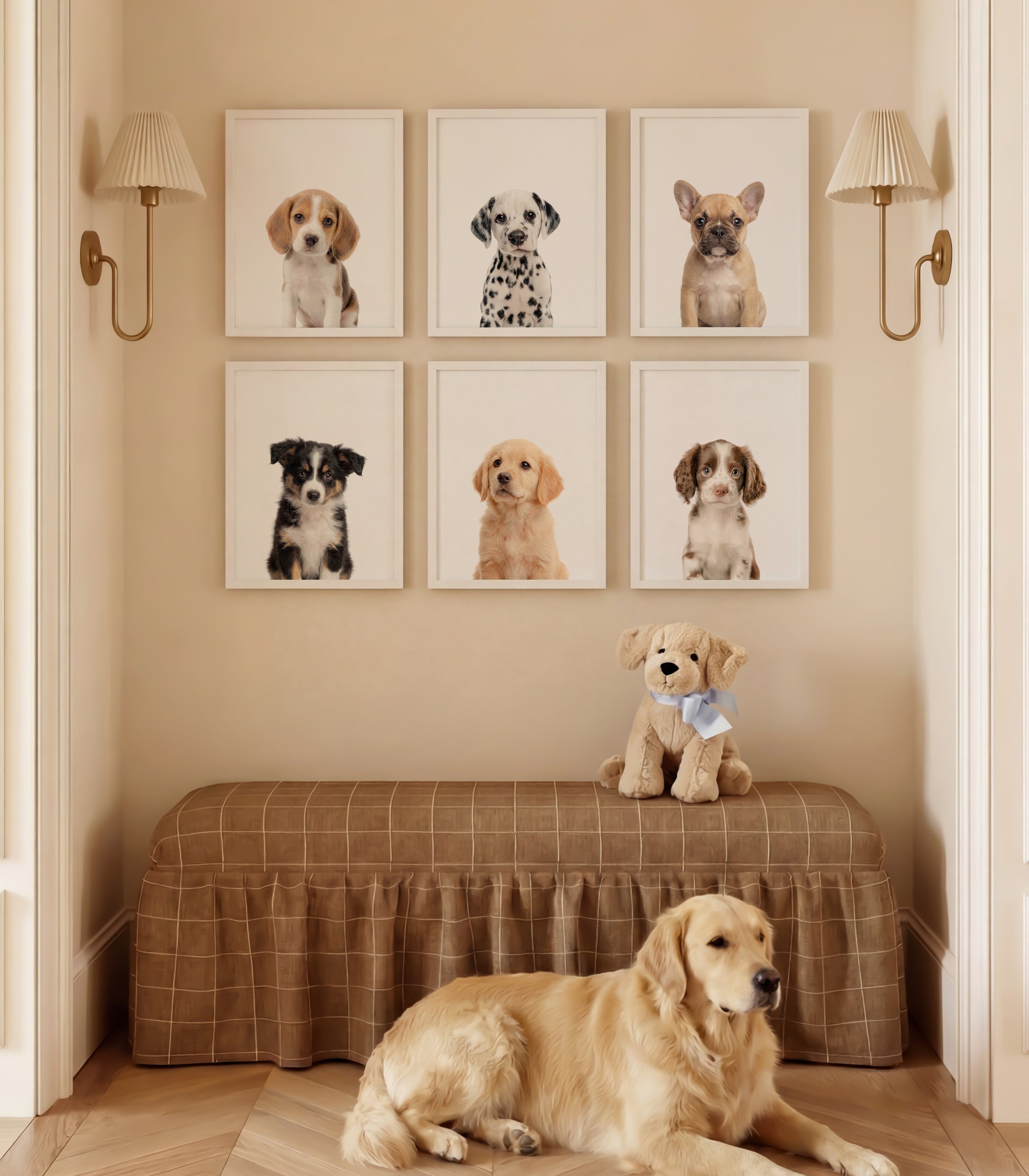 Baby Animal Art - Curated Sets of 6