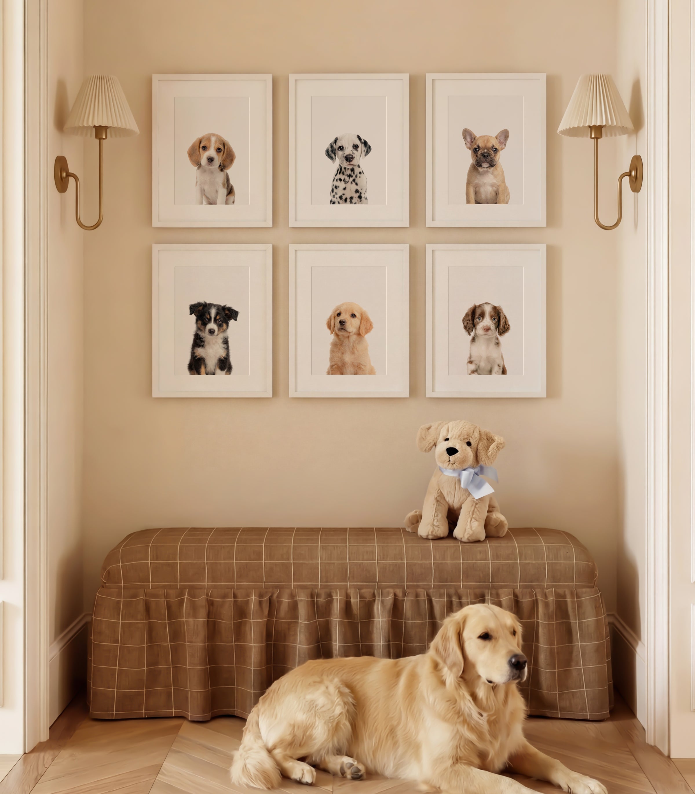 Baby Animal Art - Curated Sets of 6