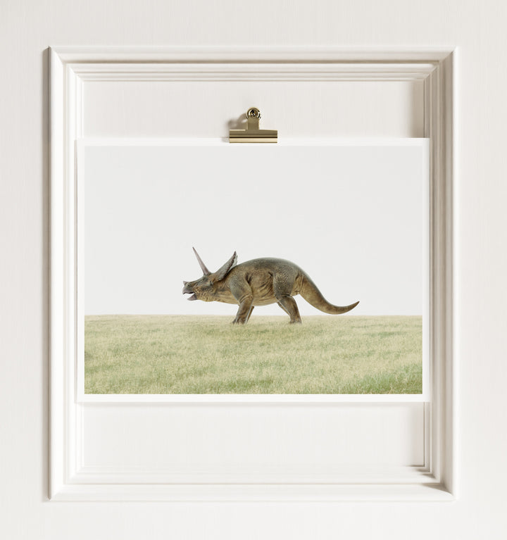 Triceratops Dinosaur