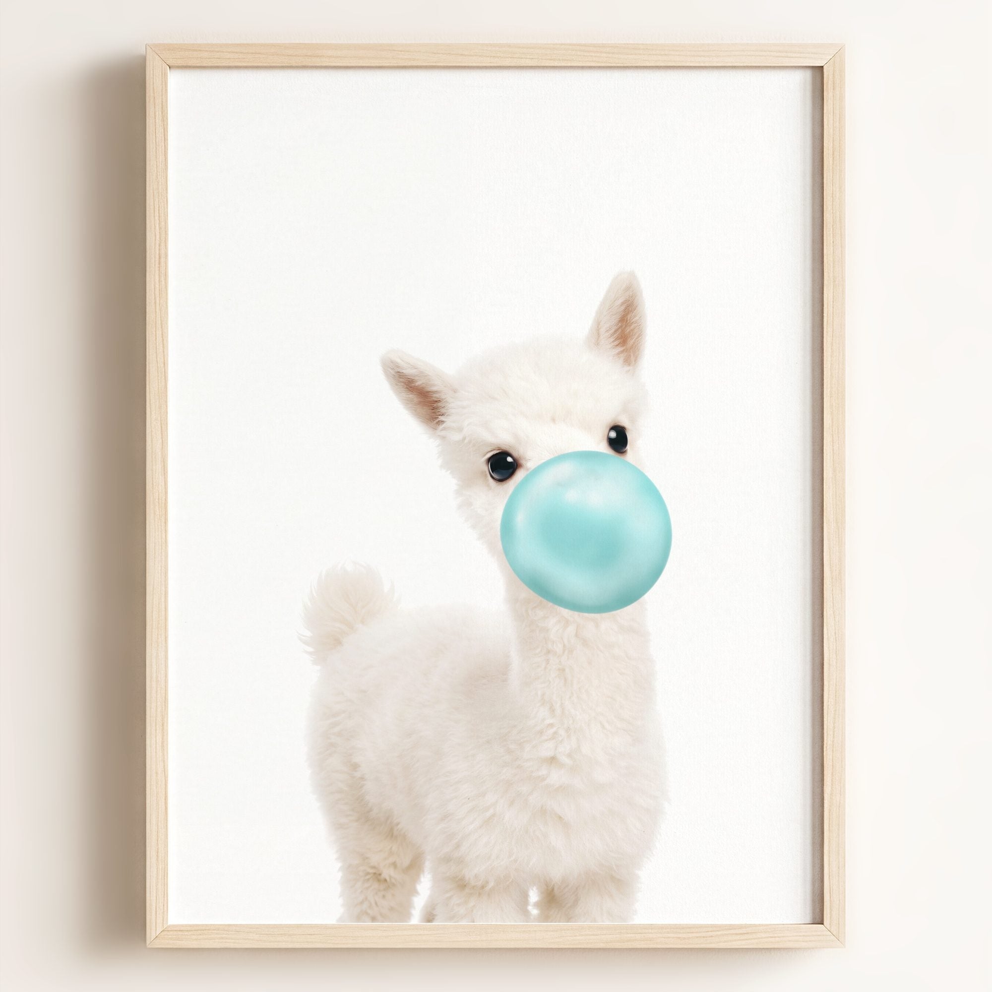 Baby Alpaca