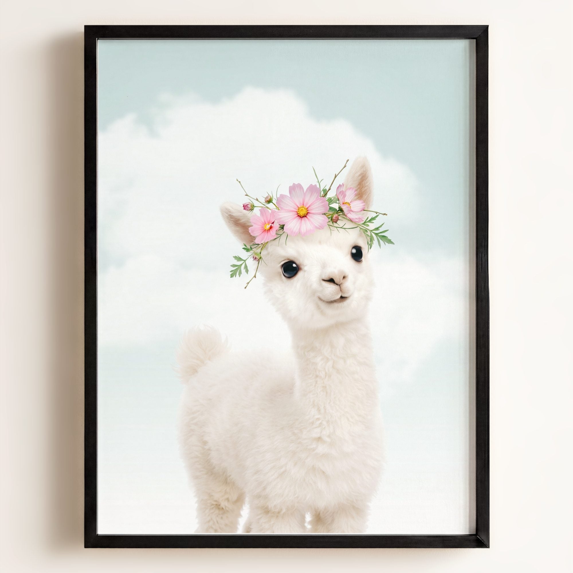 Baby Alpaca