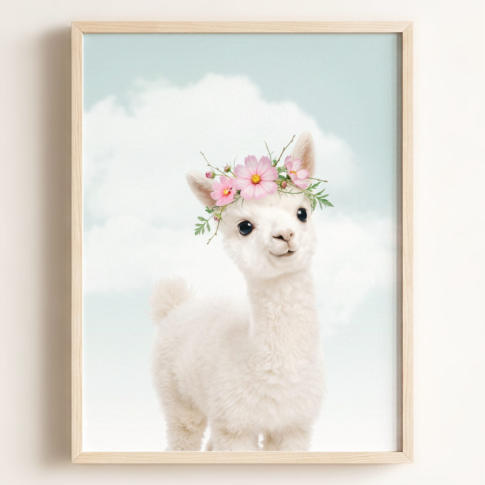 Baby Alpaca