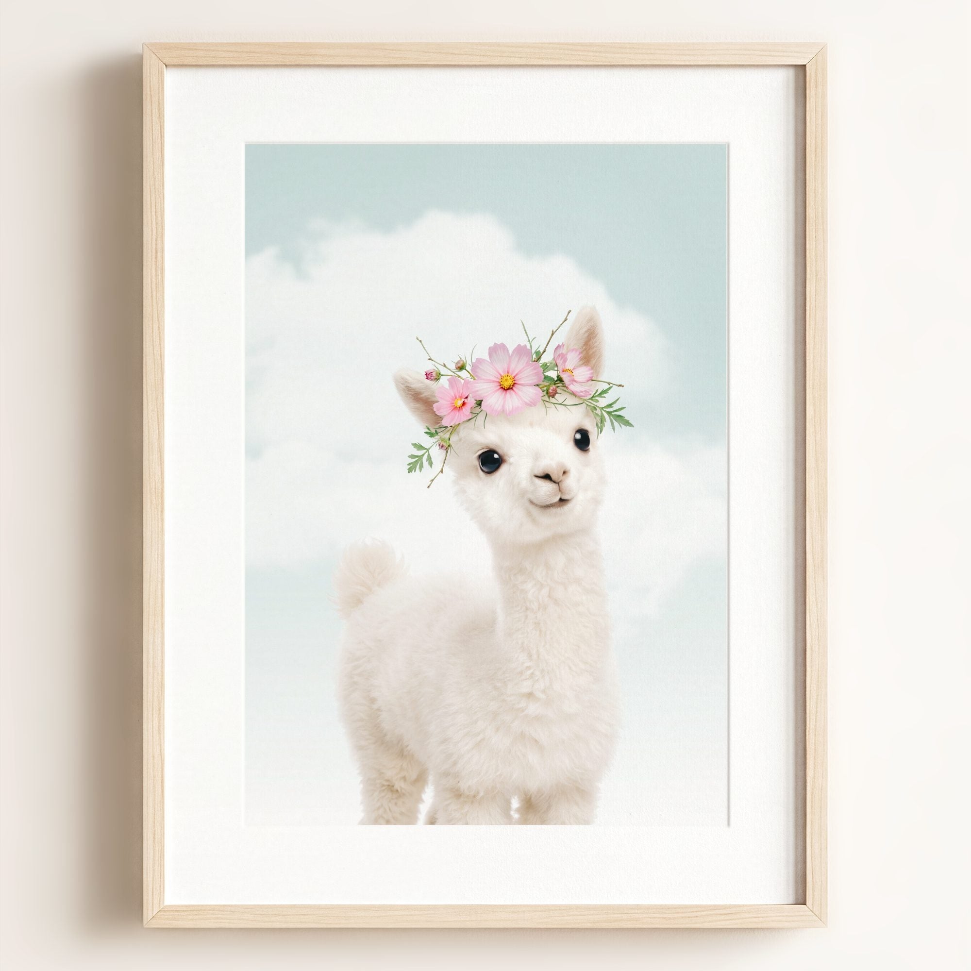 Baby Alpaca