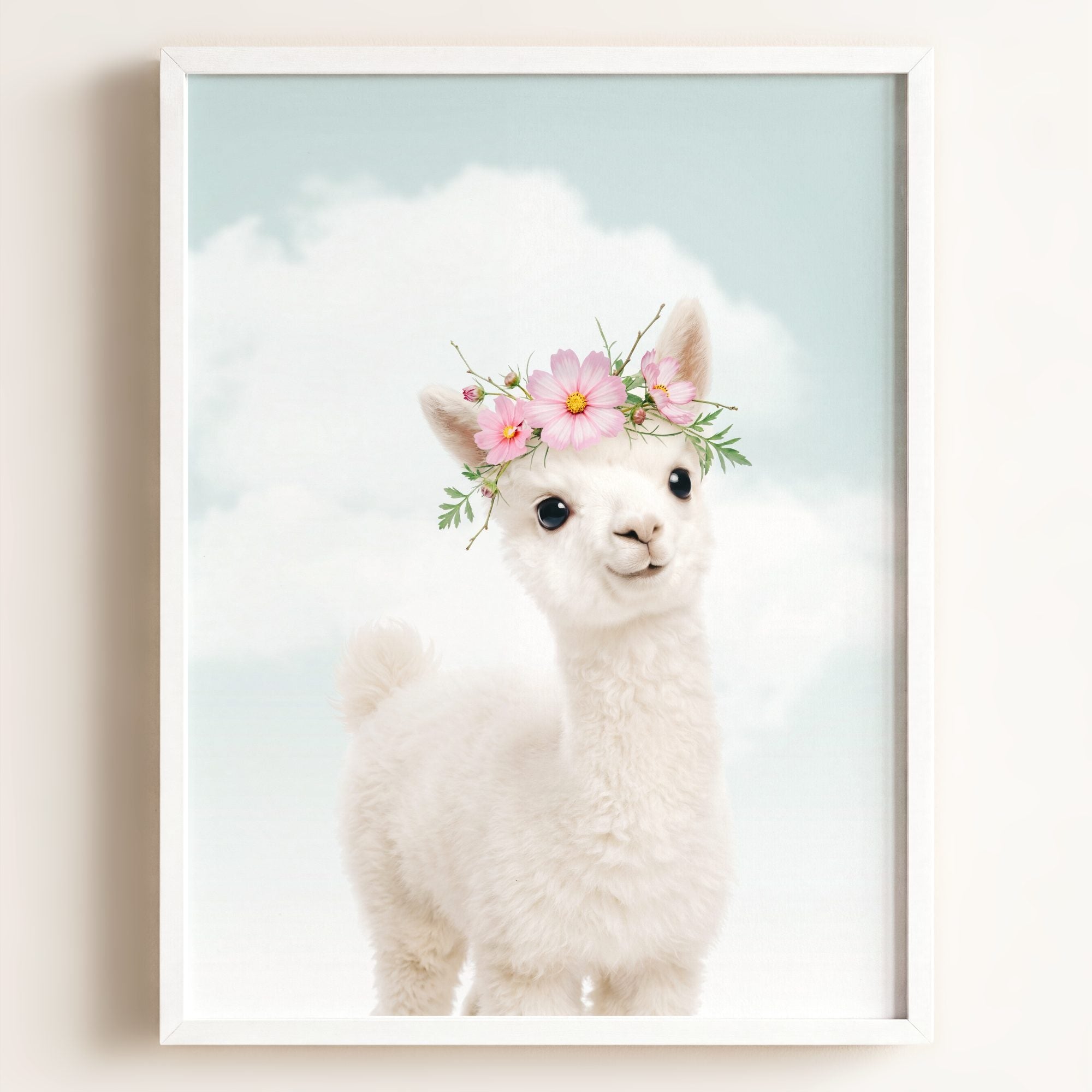 Baby Alpaca