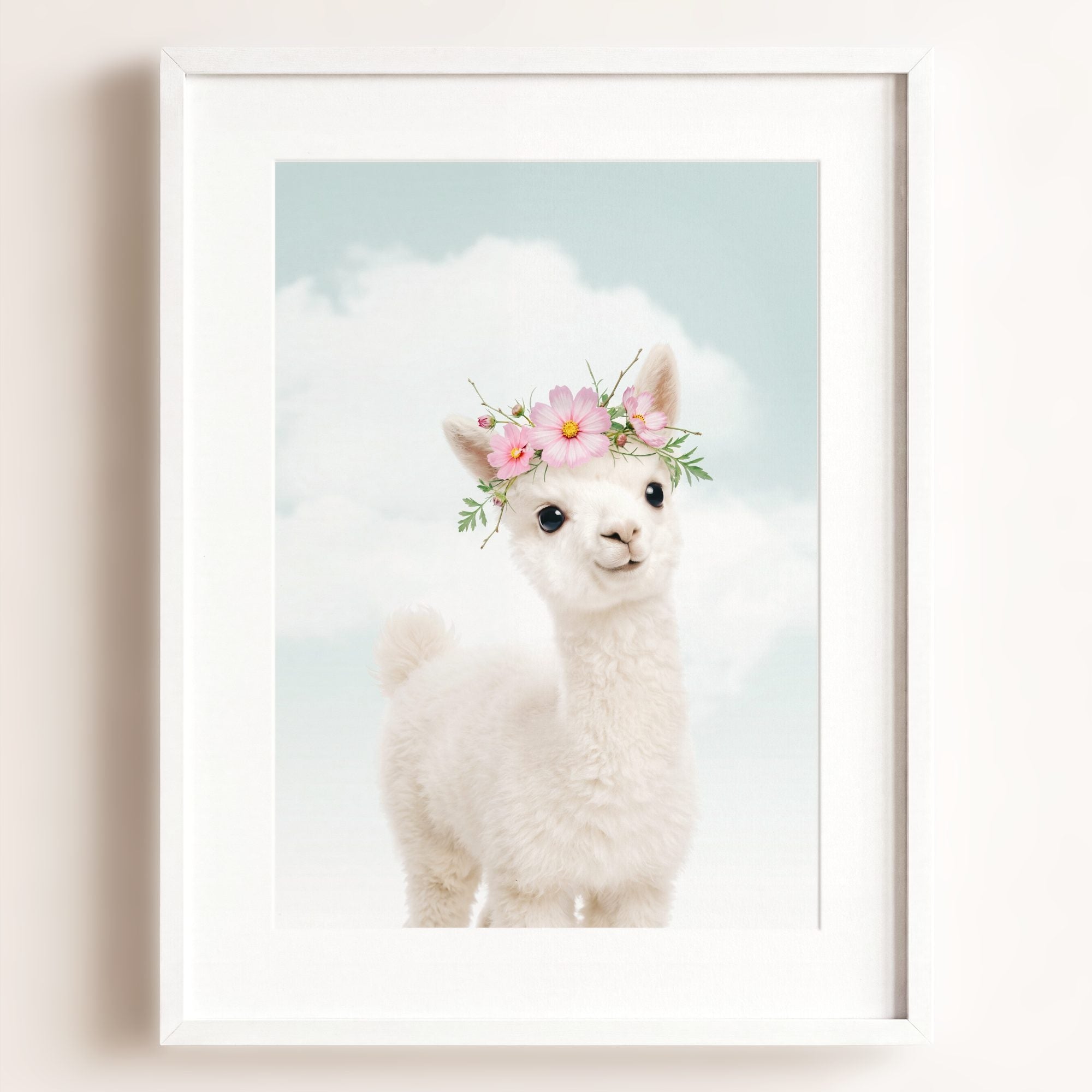 Baby Alpaca