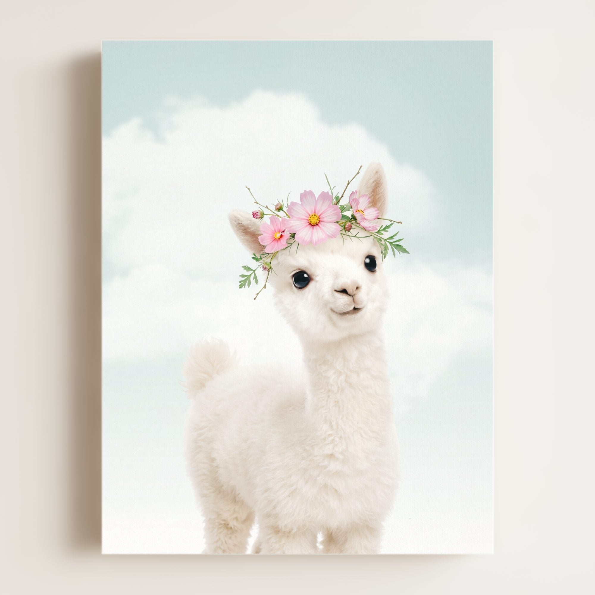 Baby Alpaca