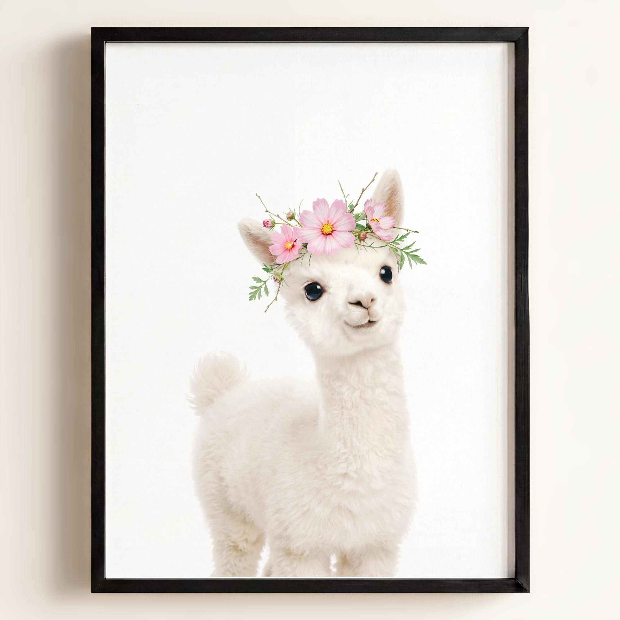 Baby Alpaca