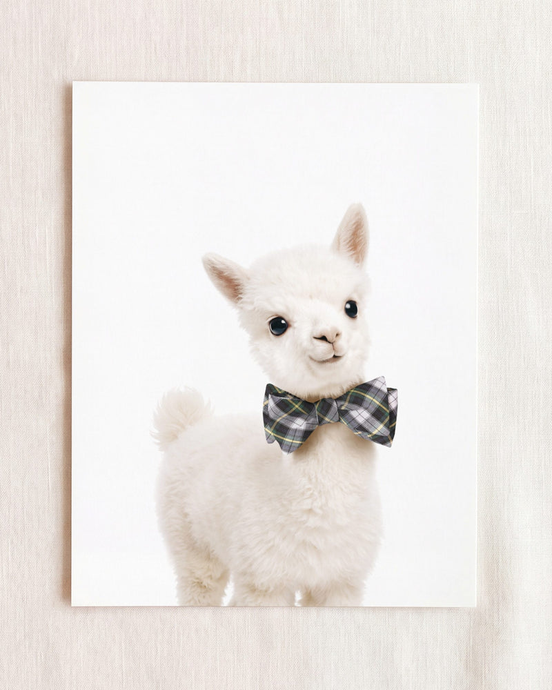 Bow Tie