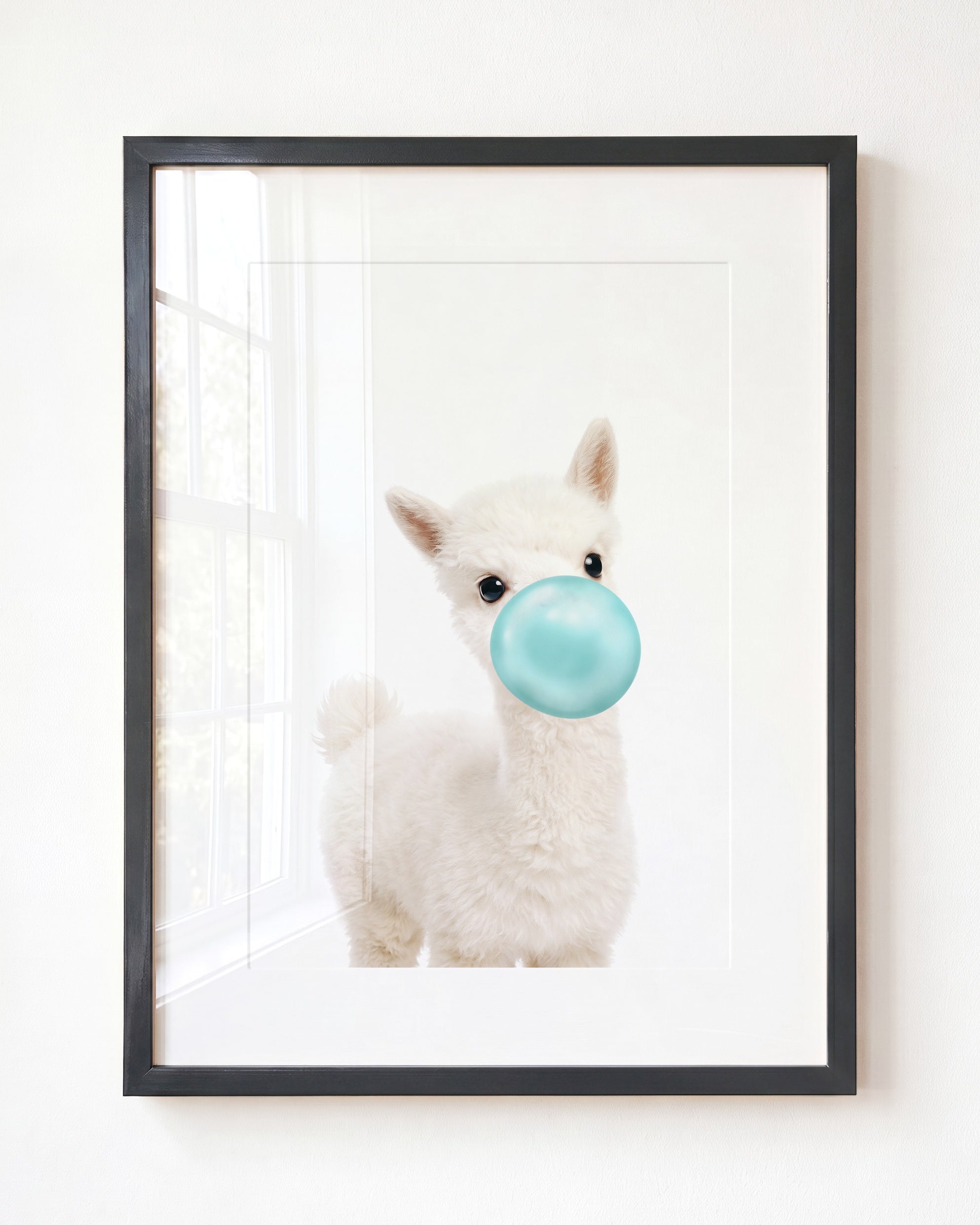 Baby Alpaca