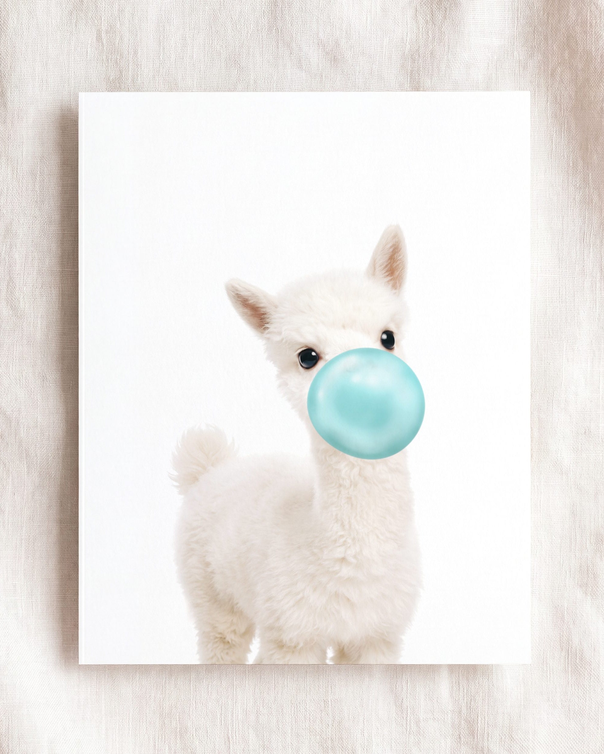 Baby Alpaca