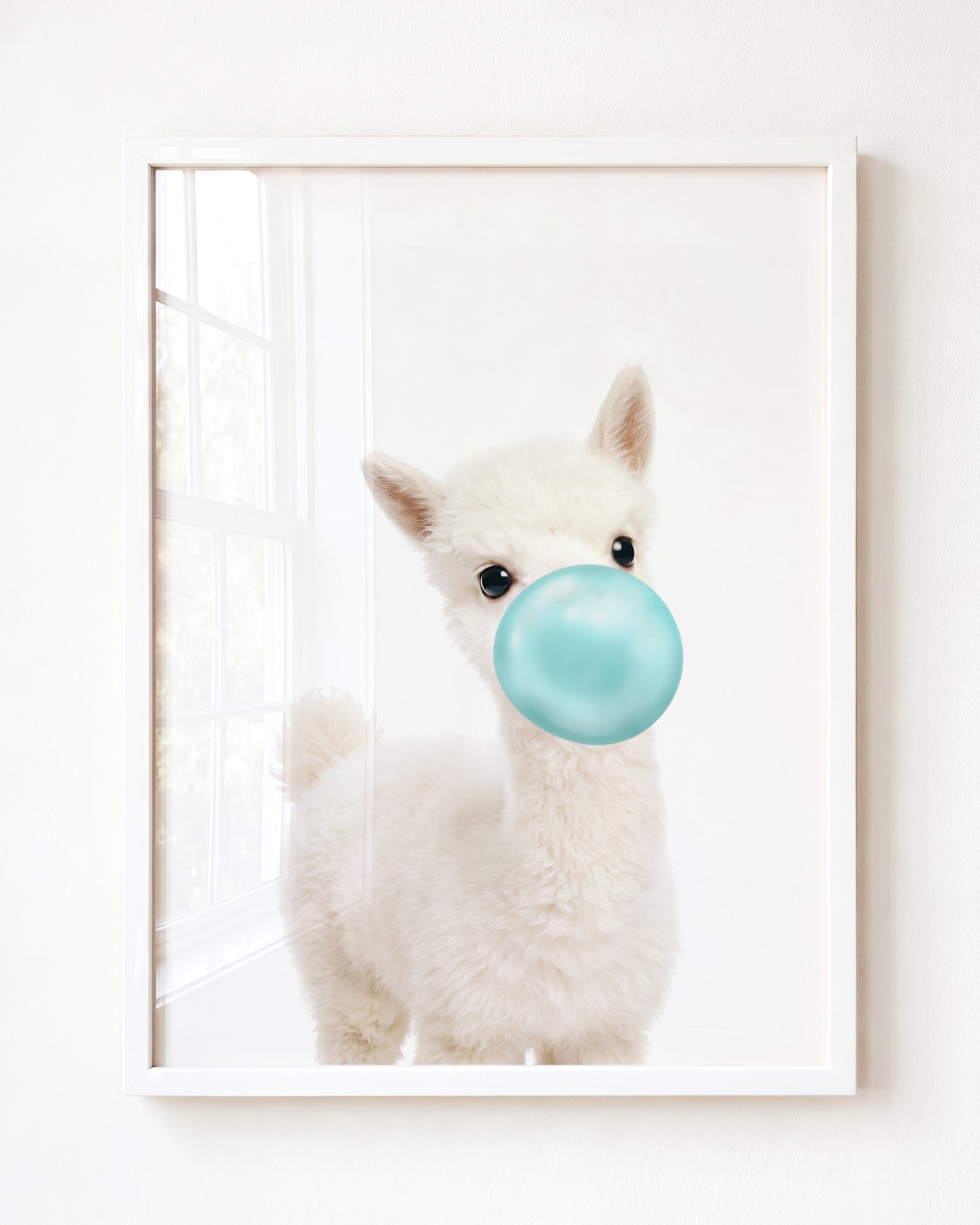 Baby Alpaca