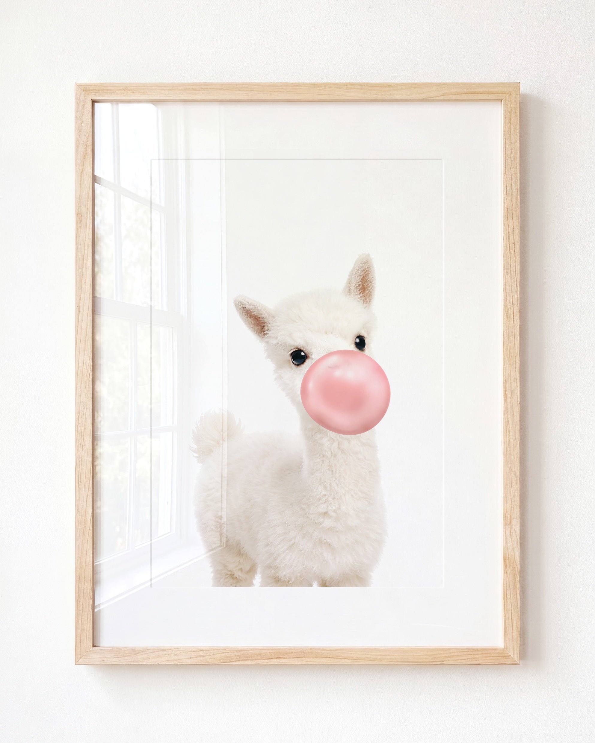 Baby Alpaca