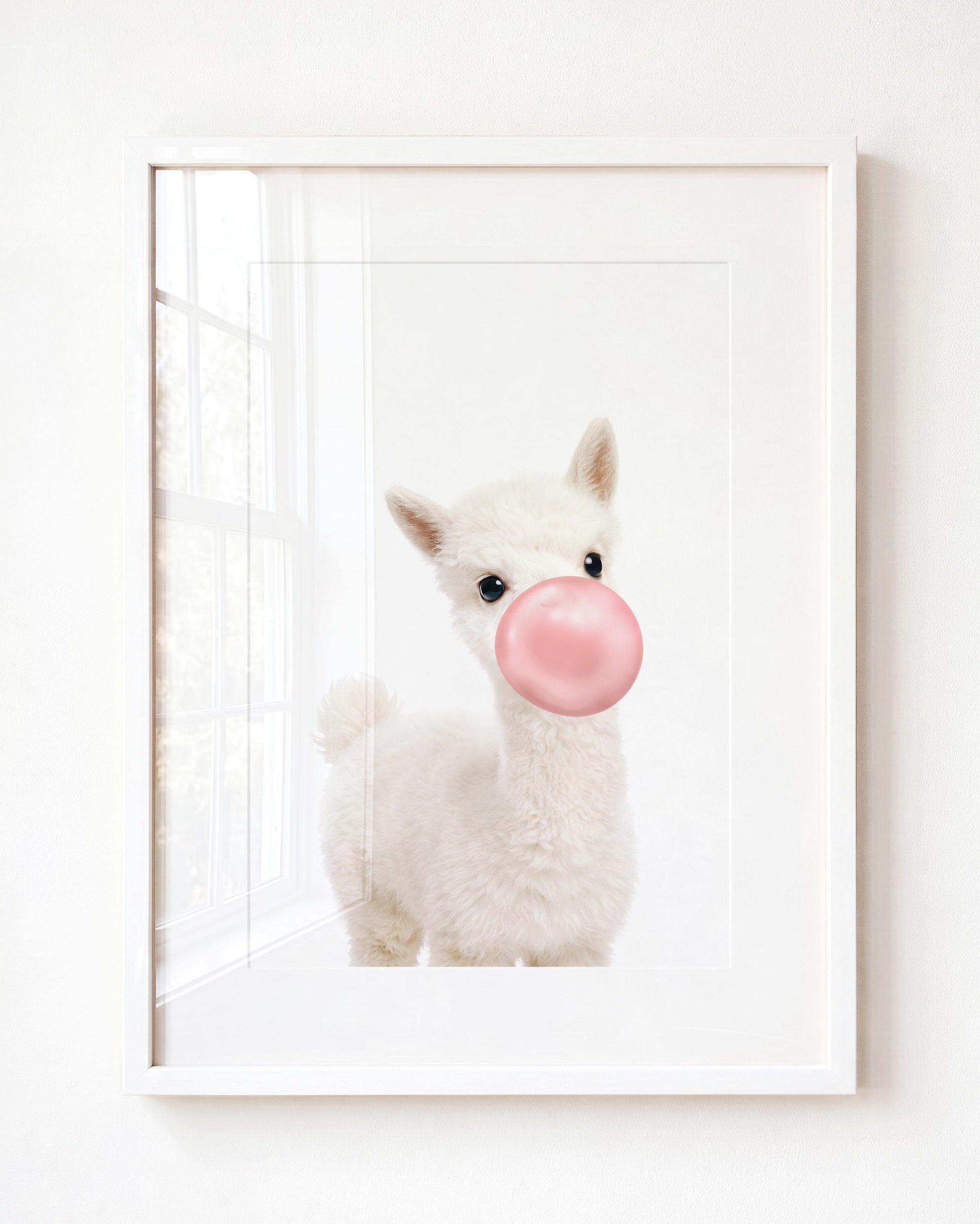 Baby Alpaca