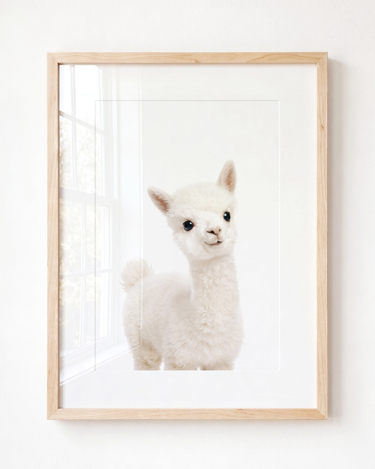 Baby Alpaca — Framed