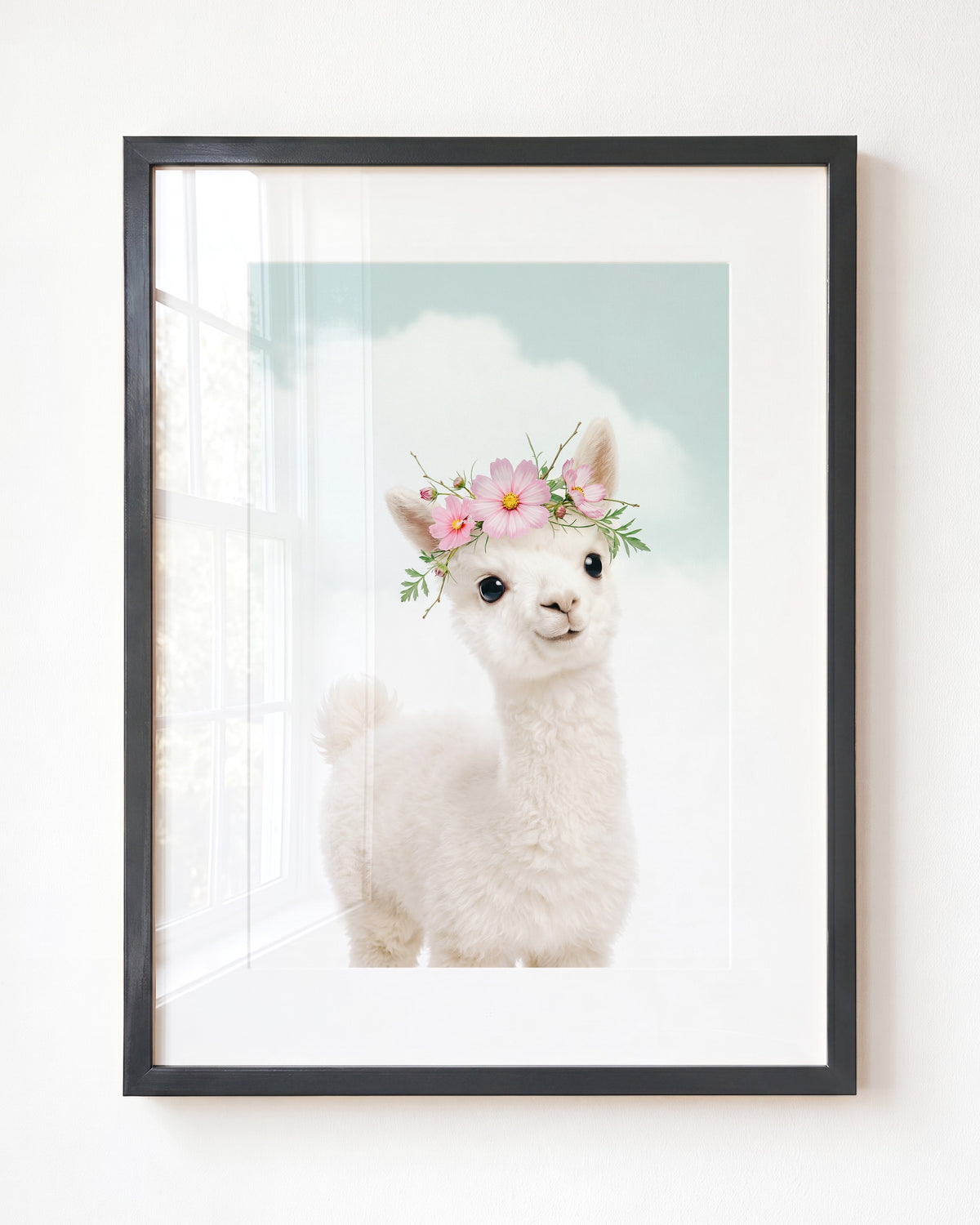 Baby Alpaca