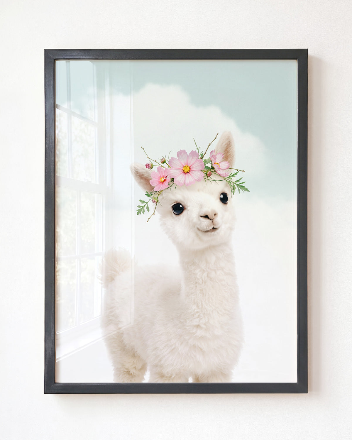 Baby Alpaca