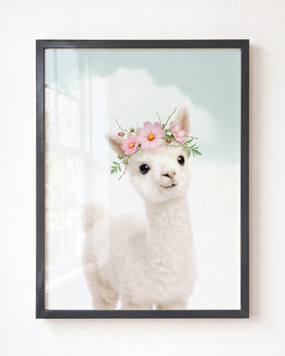 Baby Alpaca