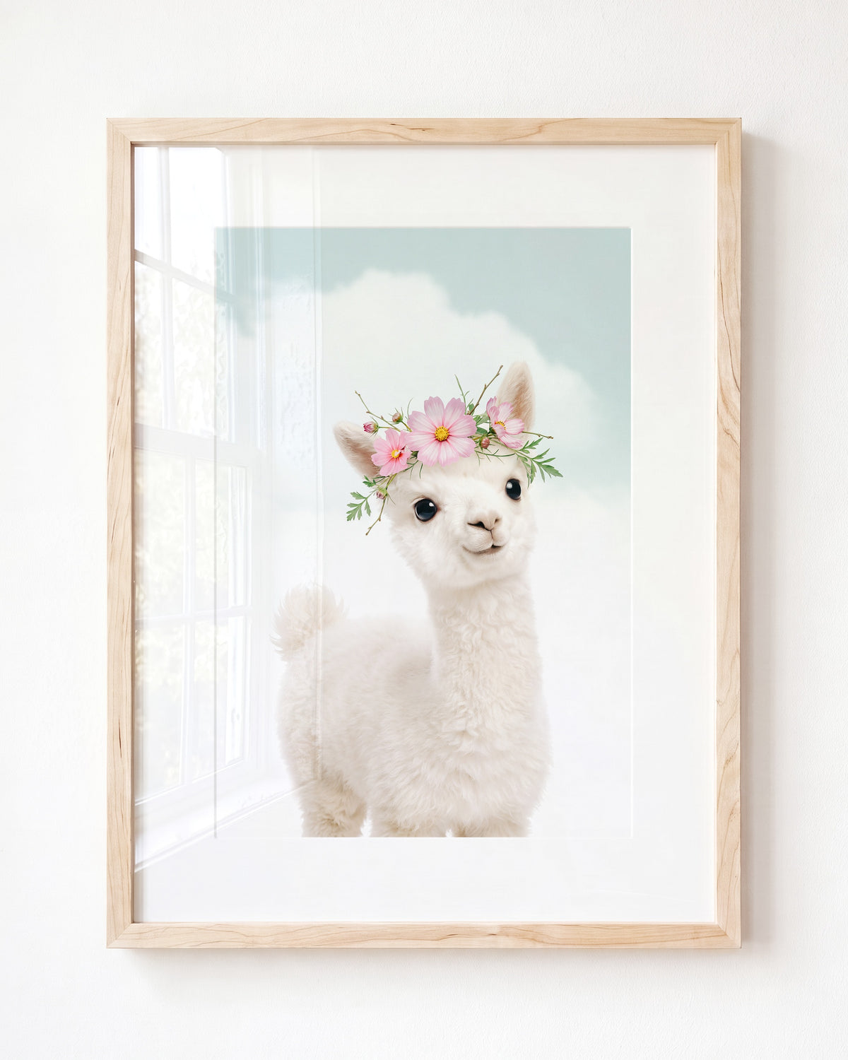 Baby Alpaca