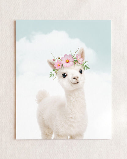 Baby Alpaca