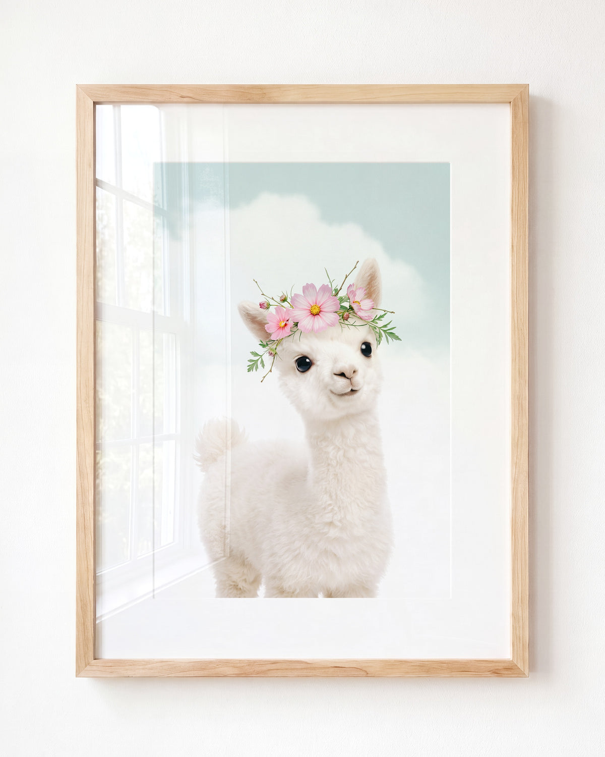 Baby Alpaca