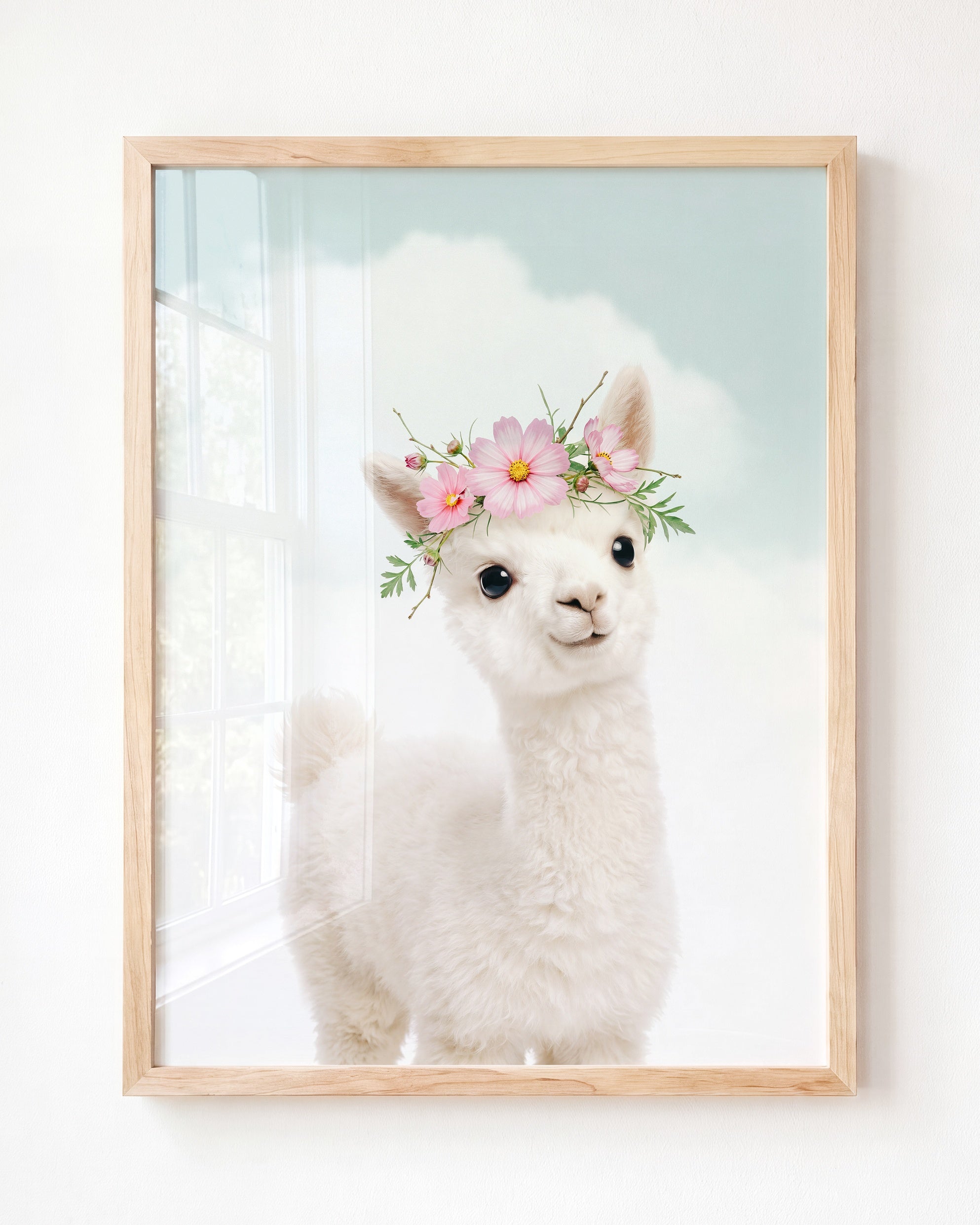 Baby Alpaca