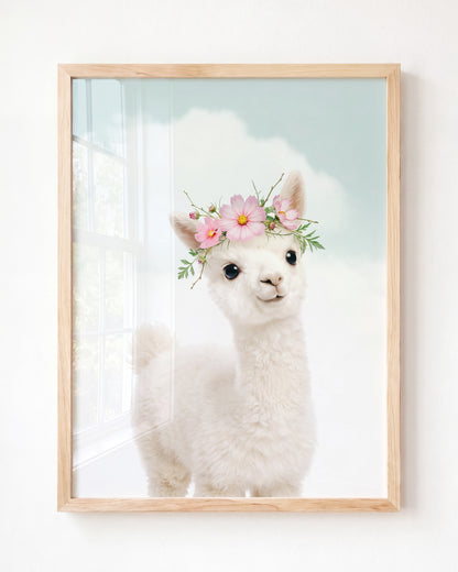 Baby Alpaca