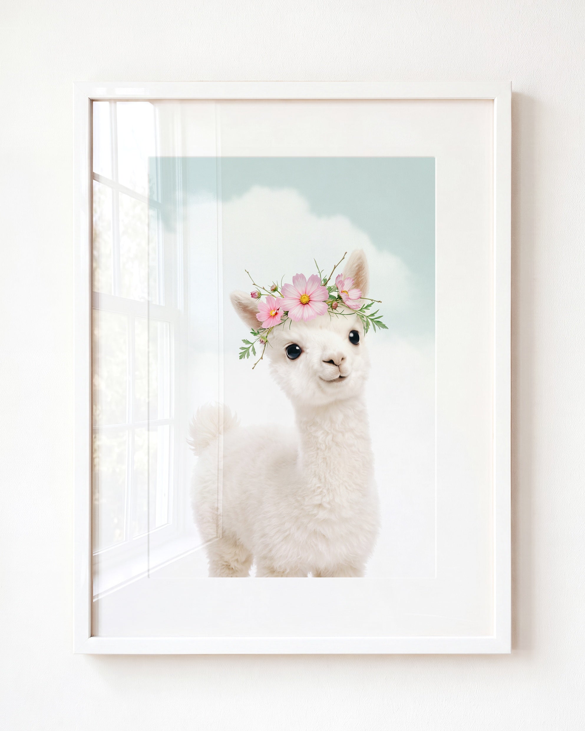 Baby Alpaca