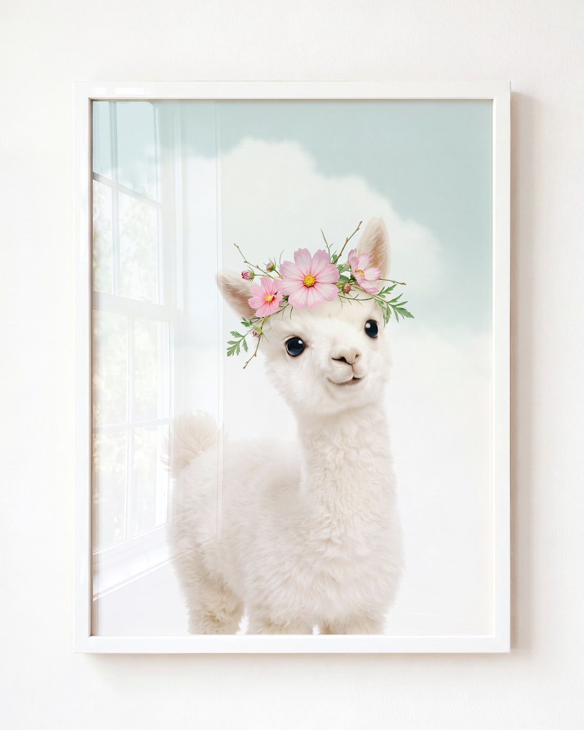 Baby Alpaca