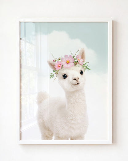 Baby Alpaca