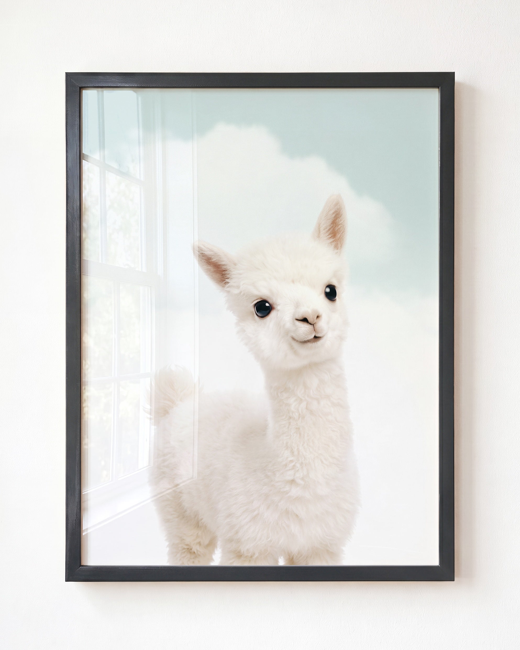Baby Alpaca