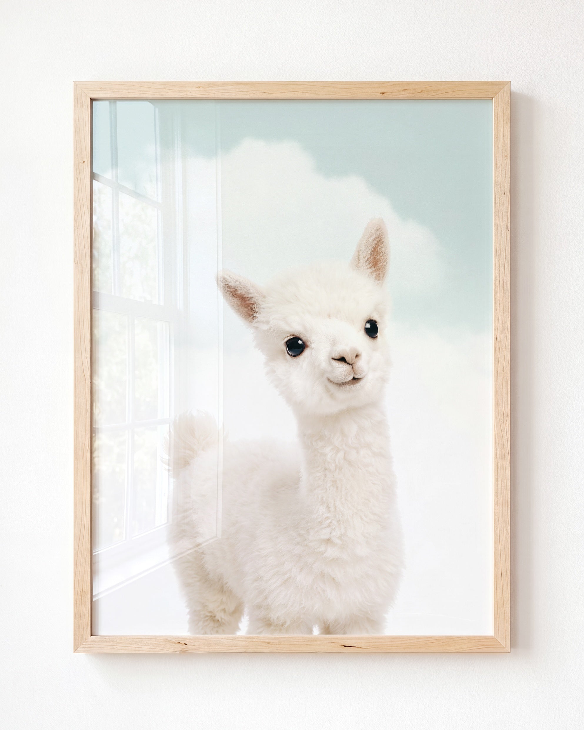 Baby Alpaca
