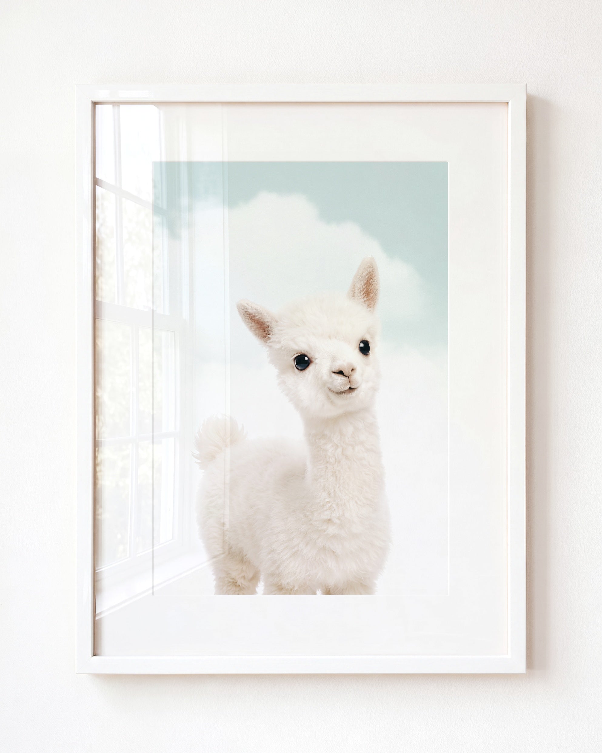 Baby Alpaca