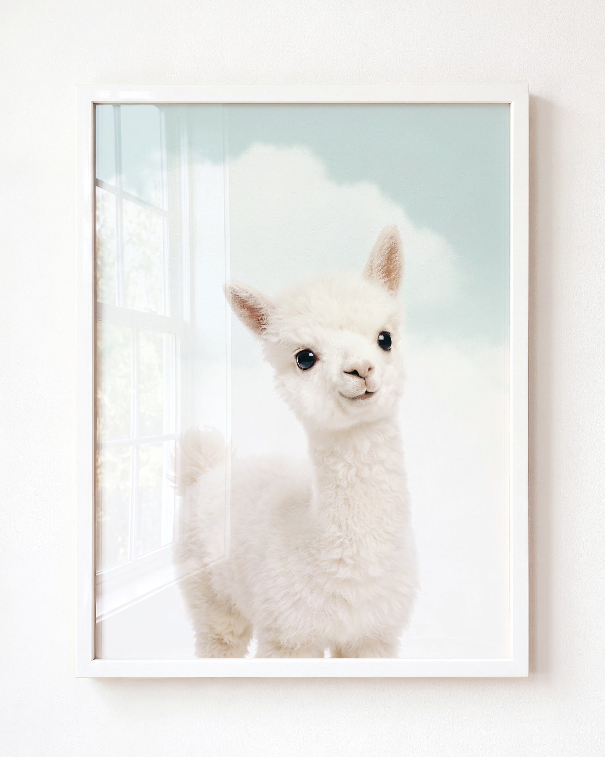 Baby Alpaca