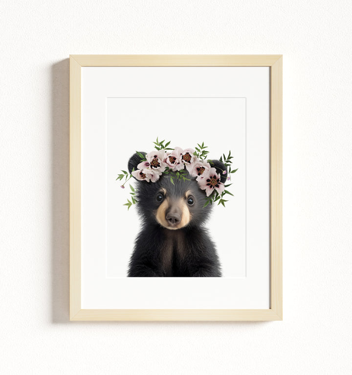 Baby Black Bear