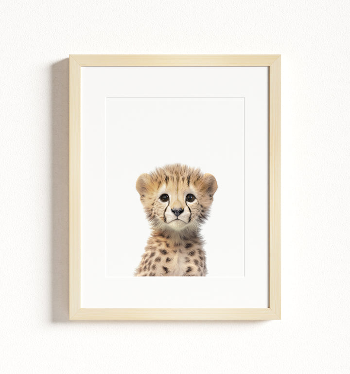 Baby Cheetah