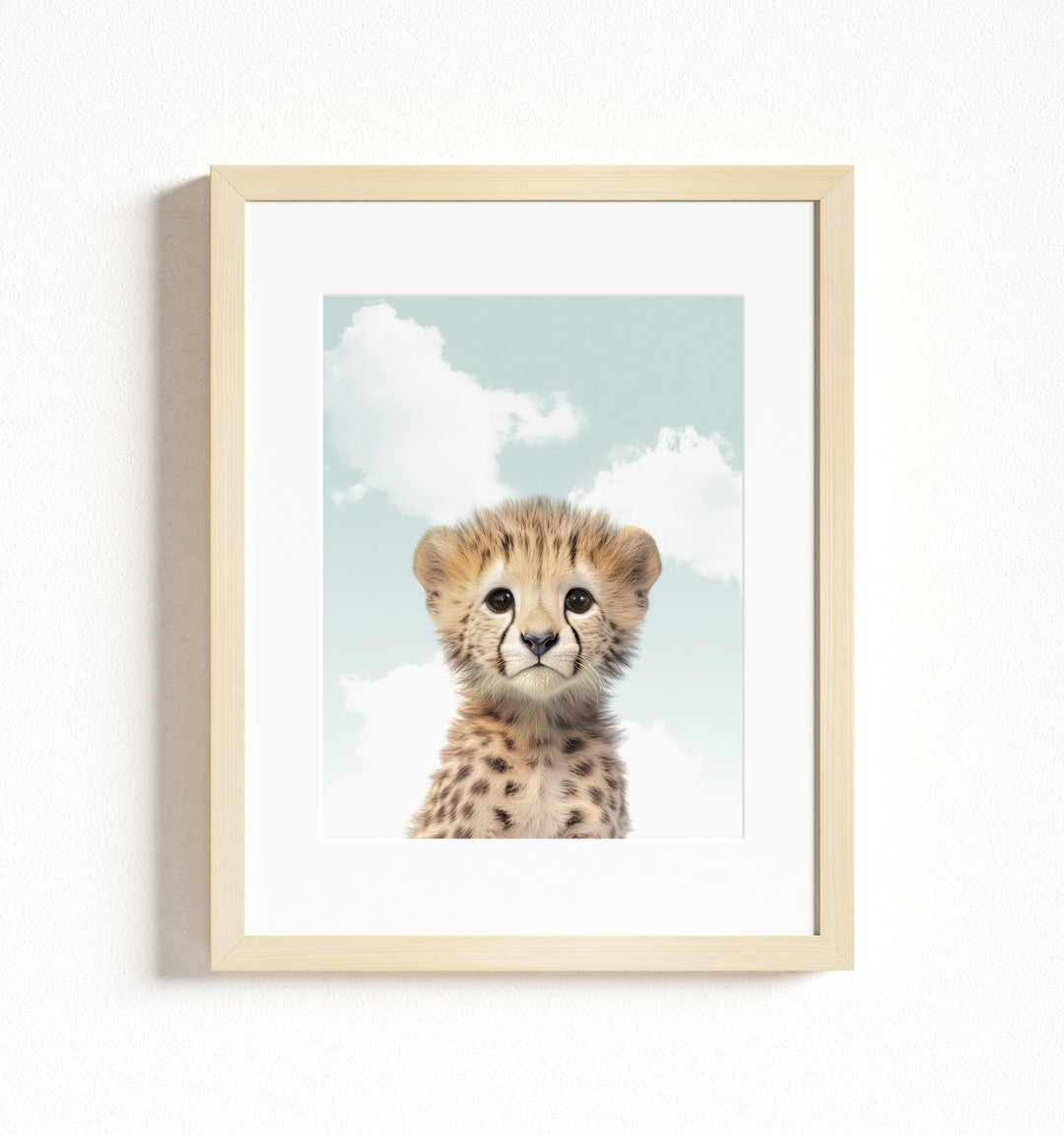 Baby Cheetah