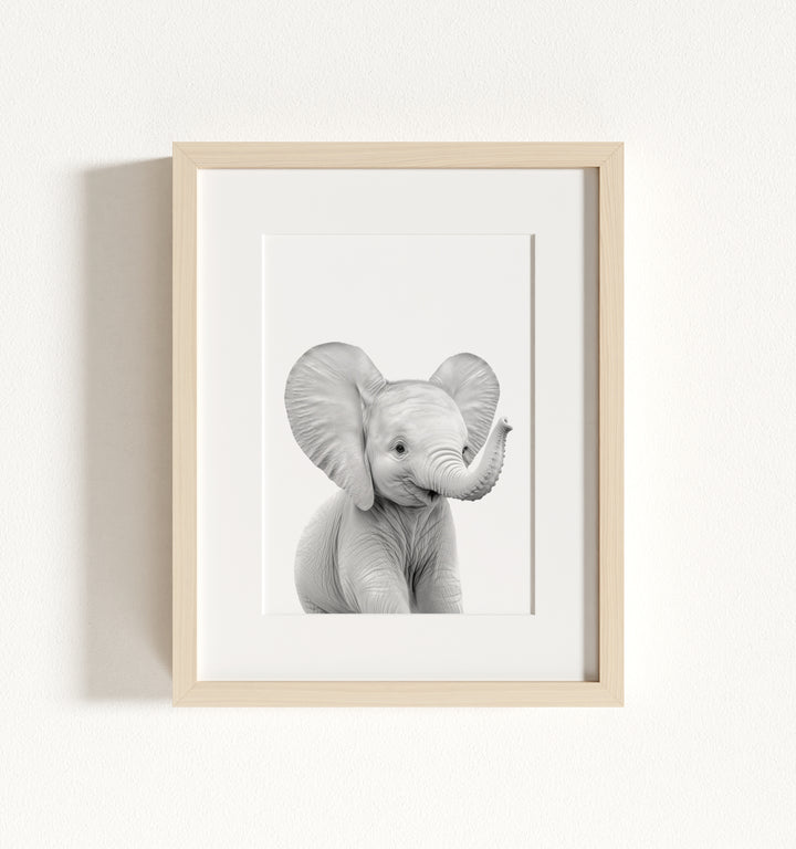Baby Elephant Framed Art