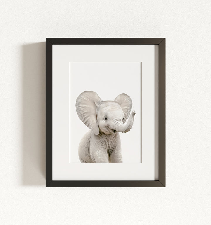 Baby Elephant Framed Art