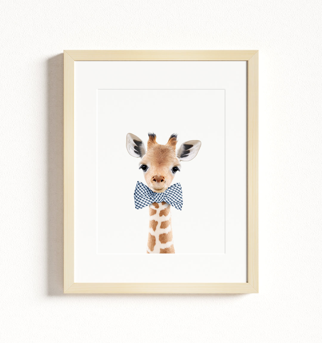 Baby Giraffe