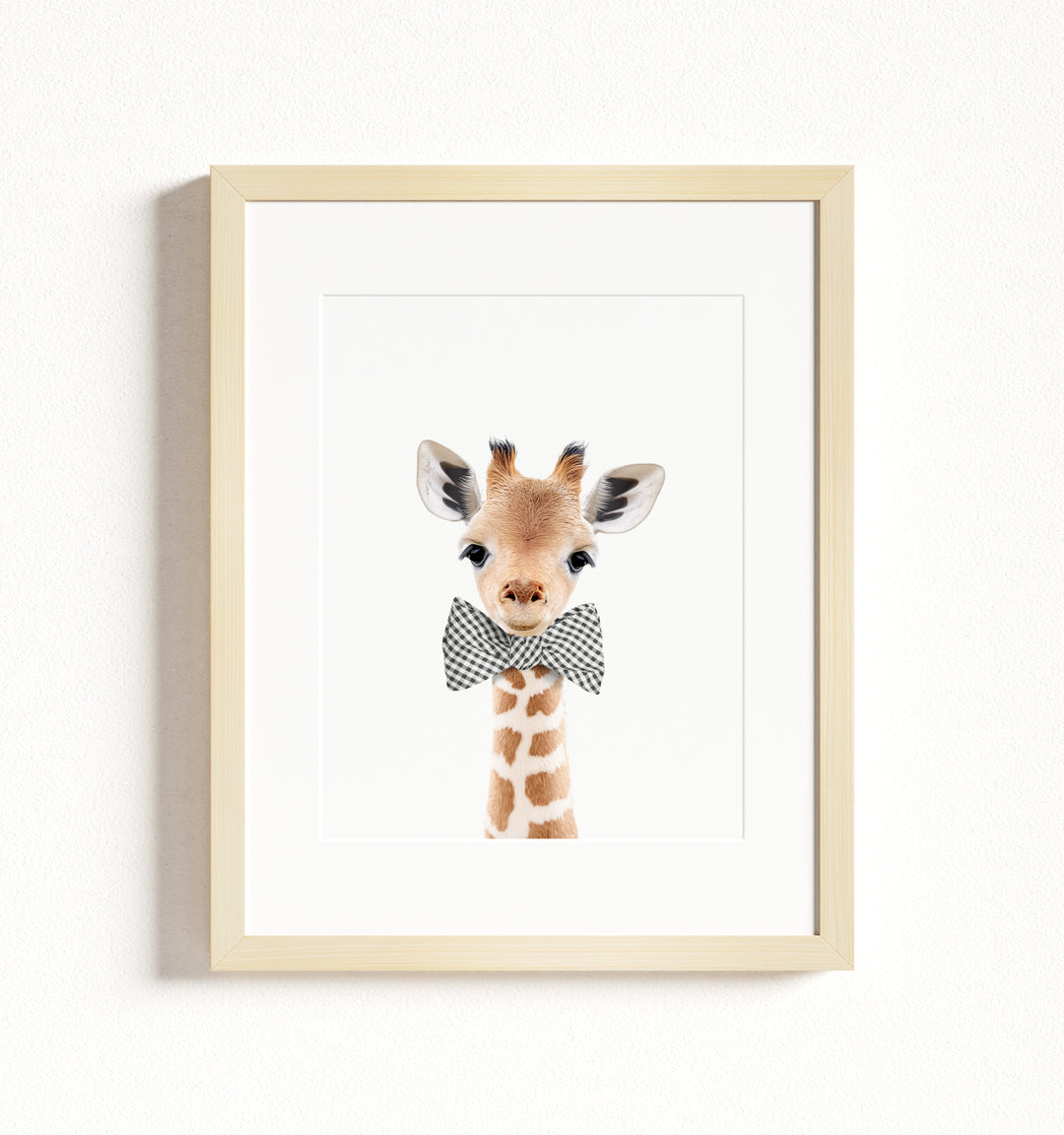 Baby Giraffe