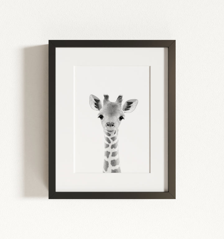 Baby Giraffe Framed Art