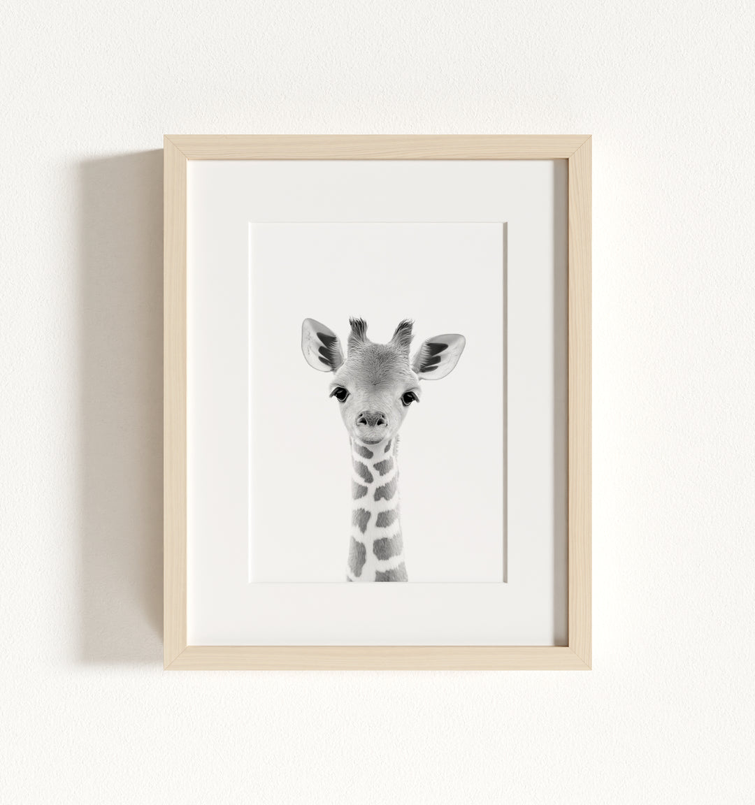 Baby Giraffe Framed Art