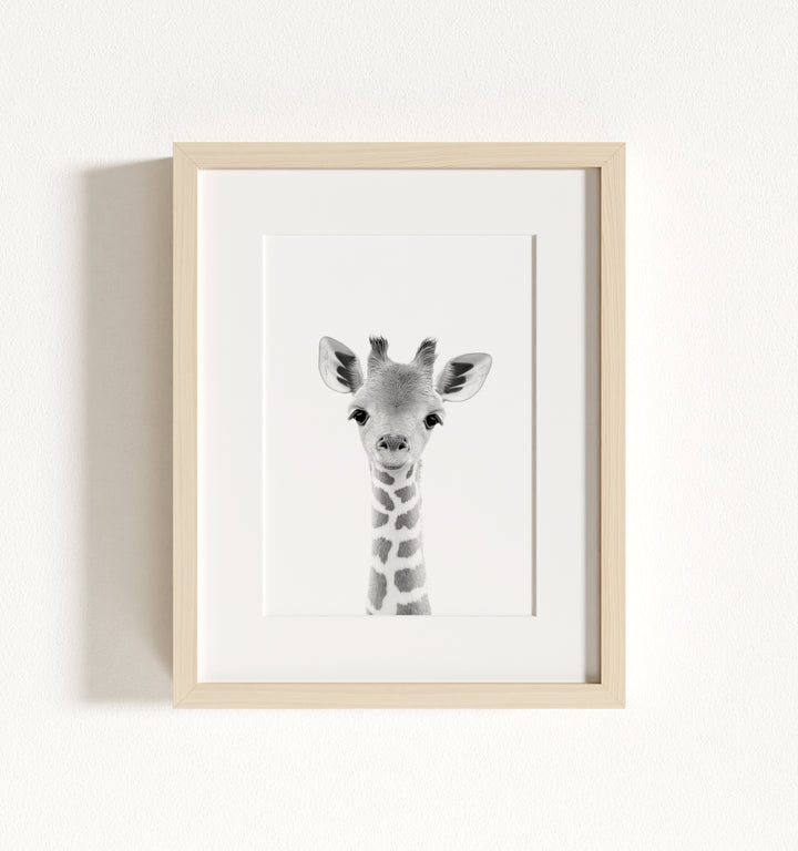 Baby Giraffe Framed Art