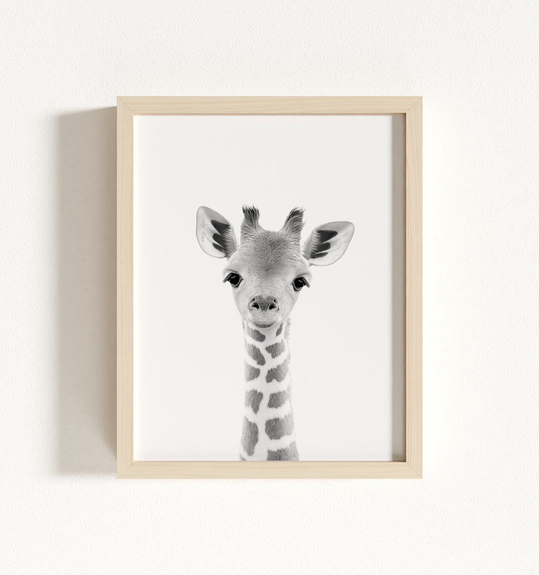 Baby Giraffe Framed Art