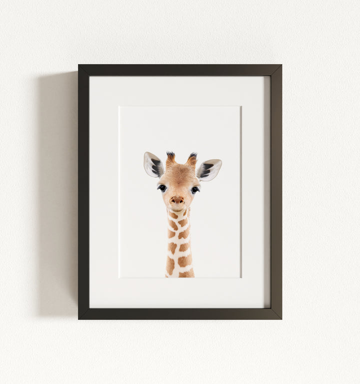 Baby Giraffe Framed Art