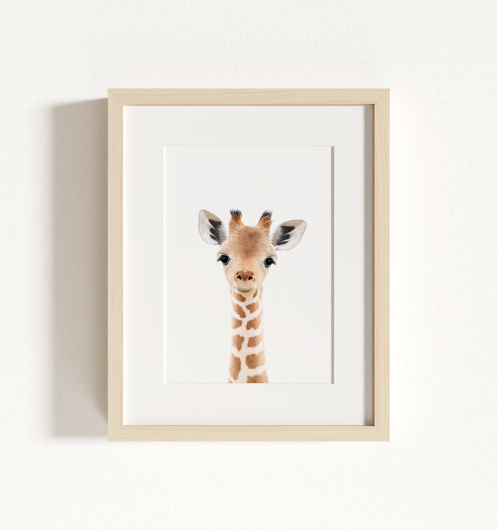 Baby Giraffe Framed Art