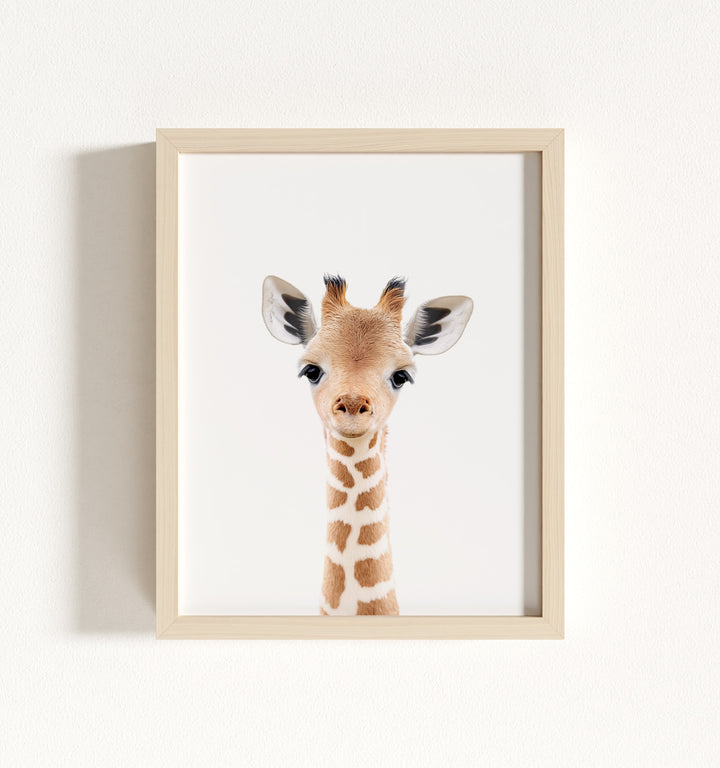 Baby Giraffe Framed Art