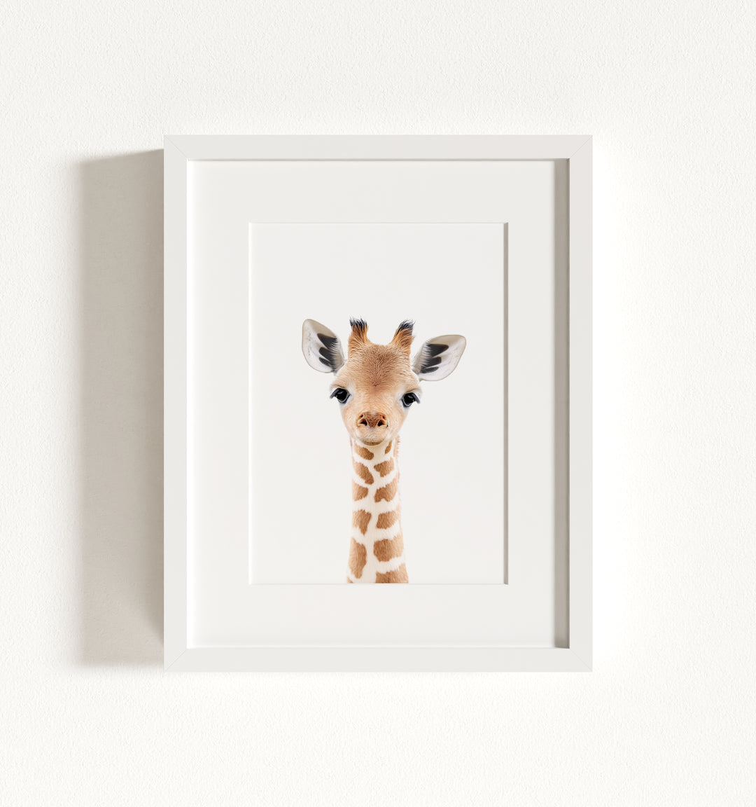 Baby Giraffe Framed Art