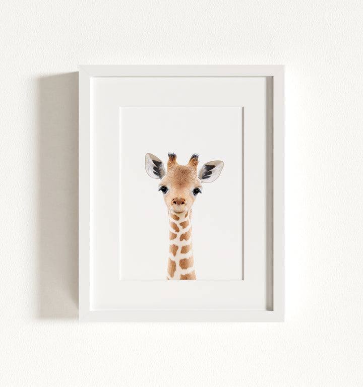 Baby Giraffe Framed Art